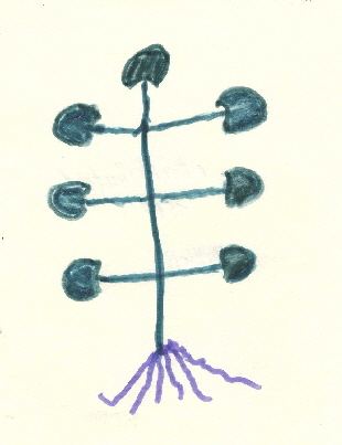 Pflanze mit violetten Wurzeln