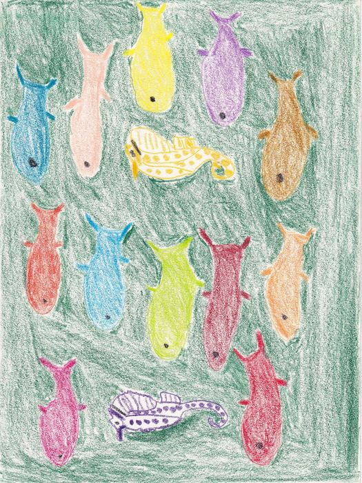 Fische auf Grün